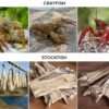 Etinan Stock Fish