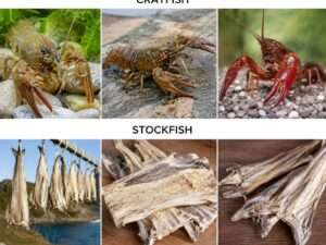 dd1ee87d-4ce2-40e9-a05e-9e36b6a3a0b2 Etinan Stock Fish